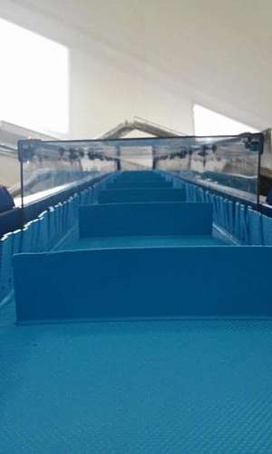 Fabricante de esteiras horizontal em SBC Fabricante de esteiras horizontal em SBC